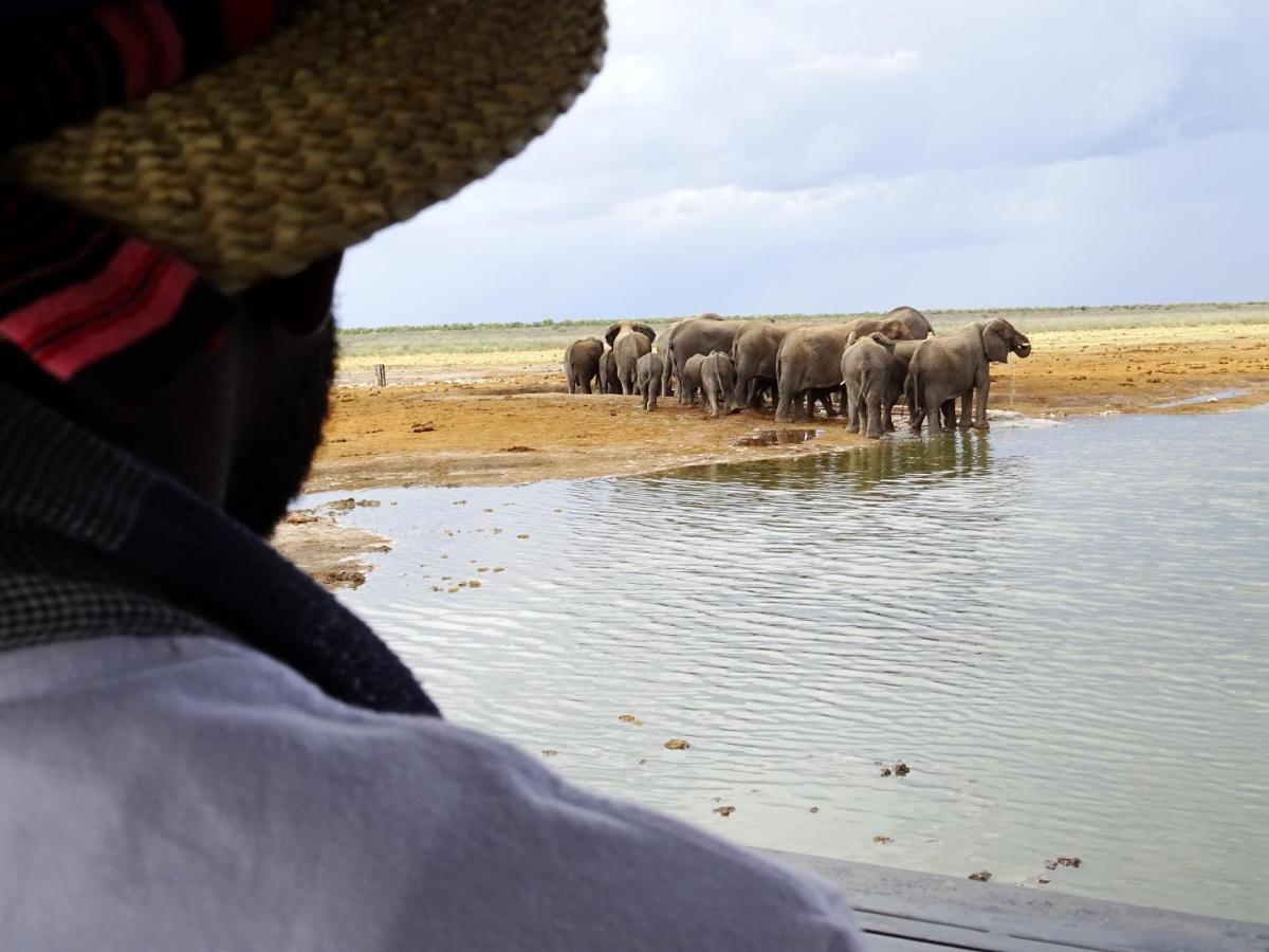 Etosha King Nehale Villa Omuthiya Bagian luar foto